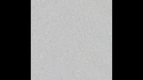 judy online show from 01-12-26, 03:23