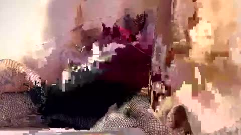 AliceTurner online show from 03-17-26, 07:17