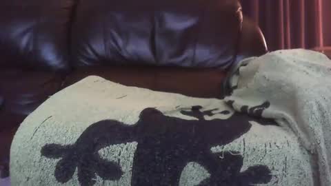 Snapshot of ectopicstarfish chatting on 12-13-24, 08:41 Ectopicstarfish online show from 12-13-24, 08:41