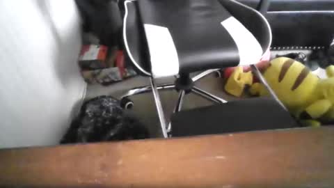 eddy815 online show from 11-24-25, 10:53