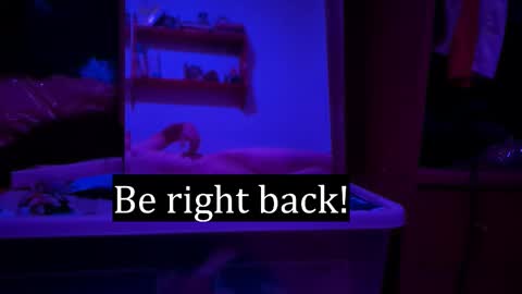 Alex online show from 02-07-26, 12:25