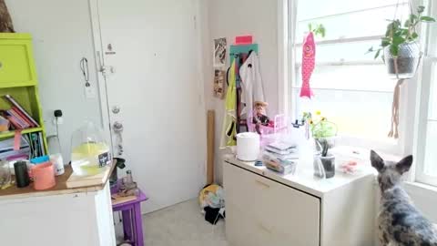 ejrabloom online show from 04-01-26, 05:10