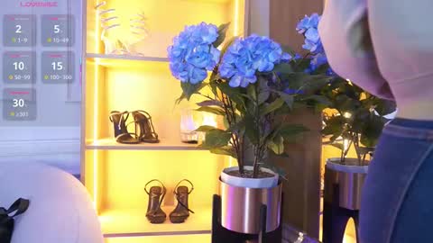 Elasummeer online show from 11-10-25, 11:53