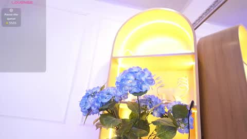 Elasummeer online show from 12-18-25, 11:49