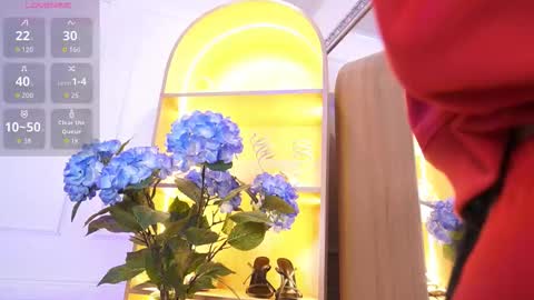 Elasummeer online show from 01-07-26, 12:29