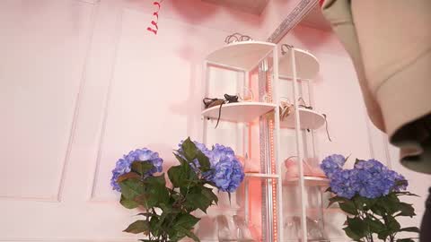 Elasummeer online show from 02-14-26, 11:51