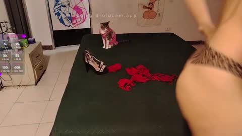 Elektra and Konan online show from 09-20-25, 12:06