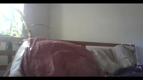 Snapshot of elephantfox chatting on 02-11-25, 09:14 fox online show from 02-11-25, 09:14