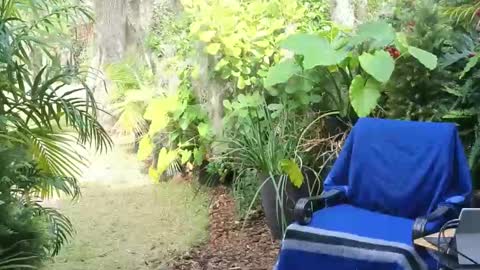 eliberator online show from 01-18-25, 07:58