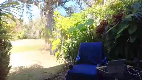 eliberator online show from 02-09-25, 07:52