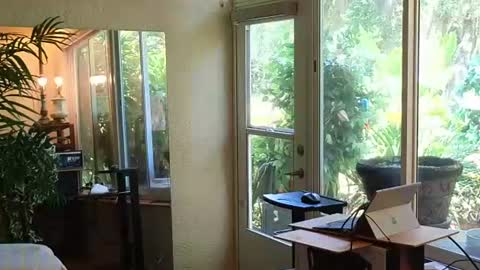 Snapshot of eliberator chatting on 06-13-26, 03:32 eliberator online show from 06-13-26, 03:32