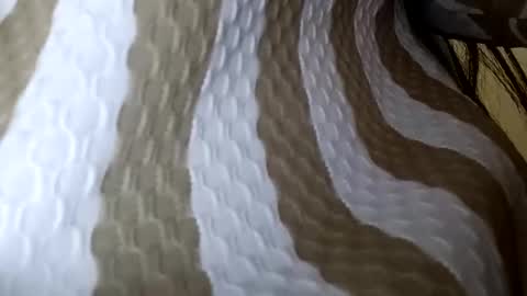 elina_roy03 online show from 12-01-25, 02:38