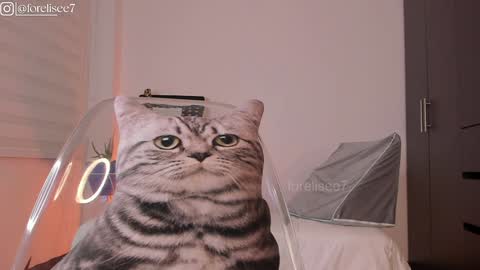 Snapshot of elise_77 chatting on 12-07-24, 07:16 Eli online show from 12-07-24, 07:16