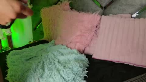 elit noa online show from 07-19-26, 10:52