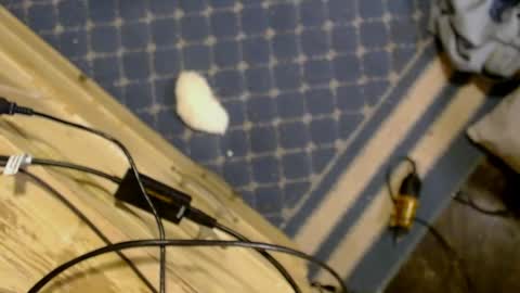 elizabeth_aron online show from 03-29-26, 08:03