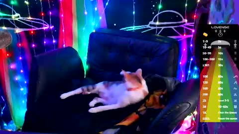 Snapshot of ellieobey chatting on 06-18-26, 09:14 Ellie online show from 06-18-26, 09:14
