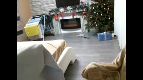 EliMoL online show from 02-07-25, 06:56