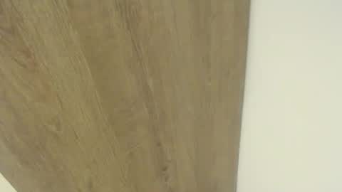 elmono33 online show from 01-23-25, 05:13