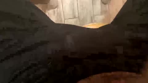 El Parador online show from 12-08-24, 07:58