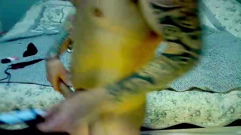 Elpouro online show from 03-09-26, 05:11