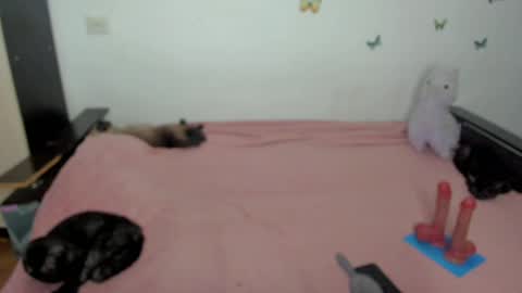 Snapshot of elsamails chatting on 05-01-26, 06:23 Elsa online show from 05-01-26, 06:23