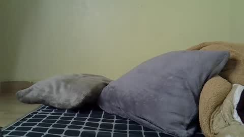 flo online show from 12-20-25, 04:41