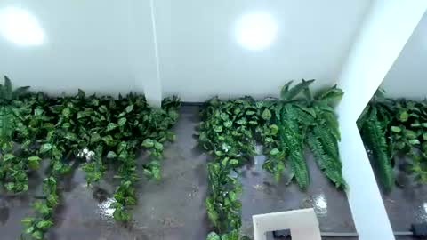 Emily online show from 07-28-26, 12:48
