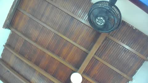 Emily  online show from 01-16-26, 11:03