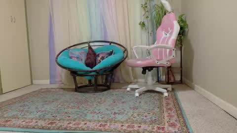 Snapshot of emilyshaze chatting on 11-08-25, 05:56 emily haze online show from 11-08-25, 05:56