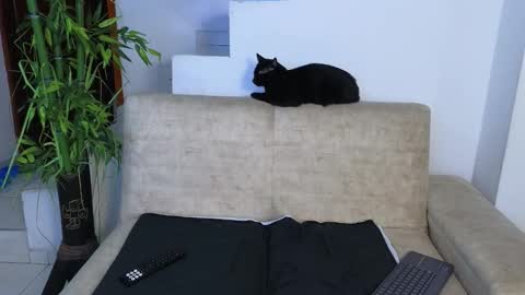 Emma Blue  modelo independiente online show from 03-26-26, 03:12