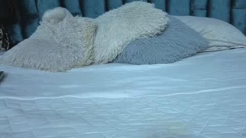 Emma online show from 03-21-26, 07:17