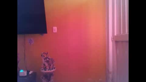 EmmaSplycer online show from 04-20-26, 09:16