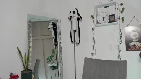 Emperatriz online show from 01-30-25, 11:13