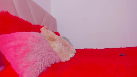 Snapshot of emy_colee chatting on 12-12-24, 02:11 Emy online show from 12-12-24, 02:11