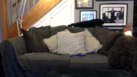 Snapshot of englishcouple81 chatting on 03-13-26, 11:33 englishcouple81 online show from 03-13-26, 11:33