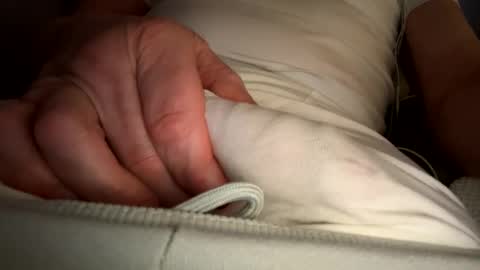 Snapshot of erexsean66 chatting on 01-25-25, 08:10 erexsean66 online show from 01-25-25, 08:10