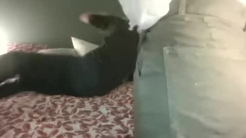 Snapshot of ericstephcam31 chatting on 02-28-25, 10:06 Steph et Eric online show from 02-28-25, 10:06