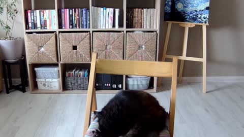 Snapshot of erotic_vibe chatting on 10-01-25, 11:49 Melissa online show from 10-01-25, 11:49
