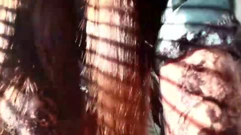 Snapshot of eva_depp chatting on 01-22-25, 12:27 Evaa Depp online show from 01-22-25, 12:27