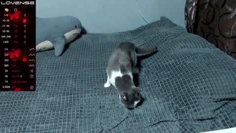 Eva online show from 01-09-25, 01:56