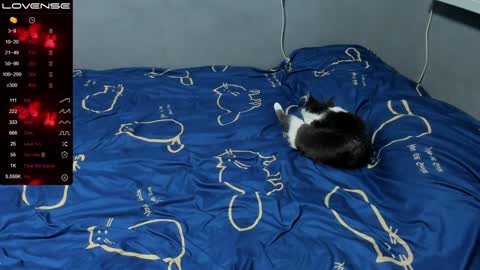 Eva online show from 01-12-25, 01:58