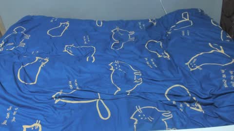 Eva online show from 02-07-25, 02:04