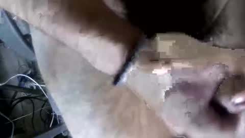 eveline_figeroa3 online show from 06-26-26, 01:21