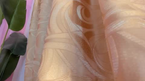 evelyn__rose1 online show from 03-08-26, 02:04