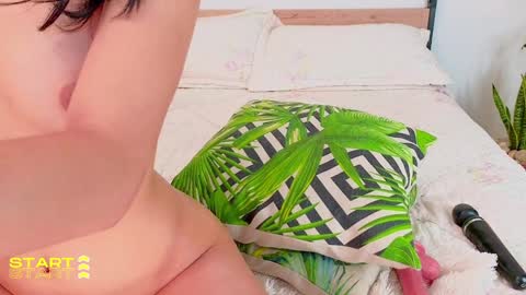 Snapshot of evelyn_chelle chatting on 12-24-24, 02:54 Im Eve or Chelle Next Stream 191224 online show from 12-24-24, 02:54