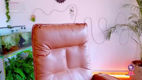 Snapshot of evelyn_chelle chatting on 05-04-26, 06:37 Im Eve or Chelle Next Stream 191224 online show from 05-04-26, 06:37