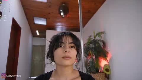 evelyn evelyn online show from 06-11-26, 04:16