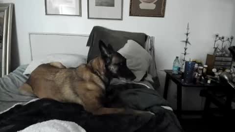 EV Parrish online show from 02-02-25, 04:48