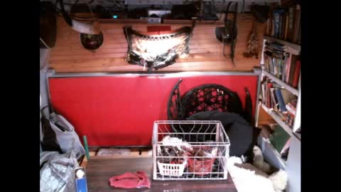 EvPierce online show from 03-30-26, 04:24