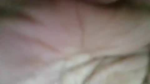 exoticapril01 online show from 04-09-26, 06:46